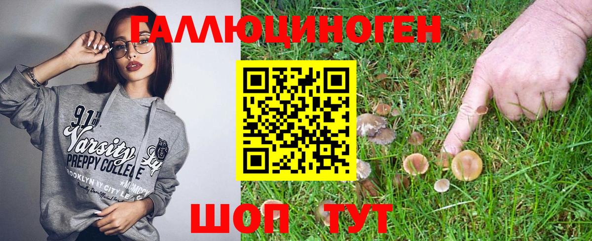Галлюциногенные грибы Psilocybe Тула